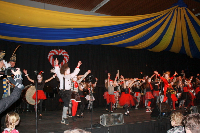 200216-cvdh-Carnavalsconcert (14).JPG
