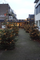 231214-PK-Kerstsfeer in Heeswijk-Dinther-(5)